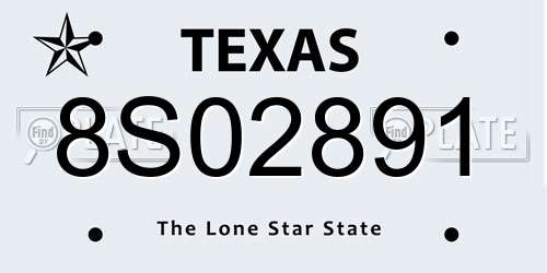 8S02891 Texas License Plate