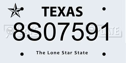 8S07591 Texas License Plate
