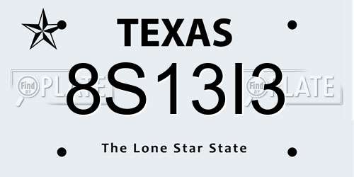 8S13I3 Texas License Plate