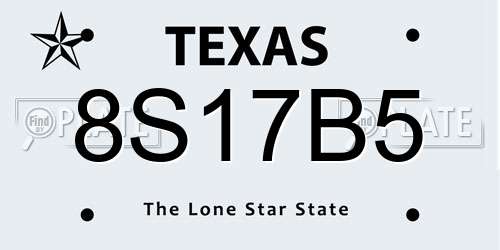 8S17B5 Texas License Plate