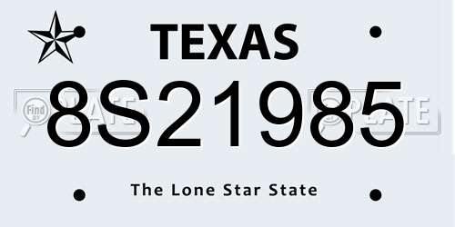8S21985 Texas License Plate