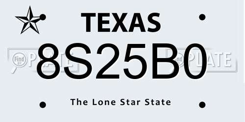 8S25B0 Texas License Plate