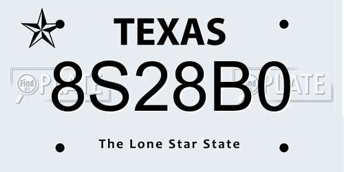 8S28B0 Texas License Plate
