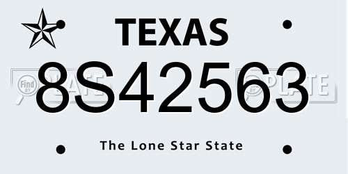 8S42563 Texas License Plate