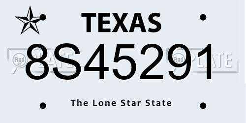 8S45291 Texas License Plate