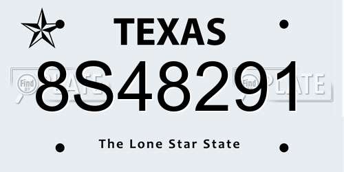 8S48291 Texas License Plate