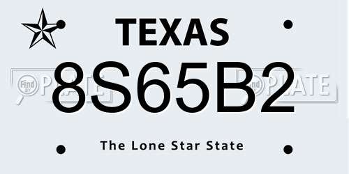8S65B2 Texas License Plate