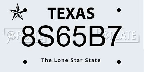 8S65B7 Texas License Plate