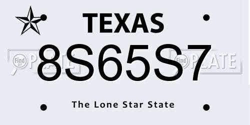 8S65S7 Texas License Plate