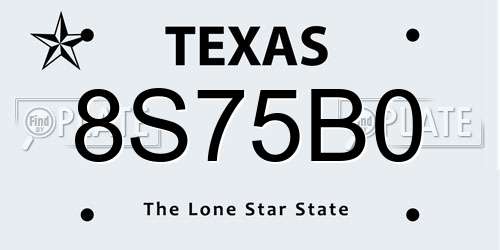 8S75B0 Texas License Plate