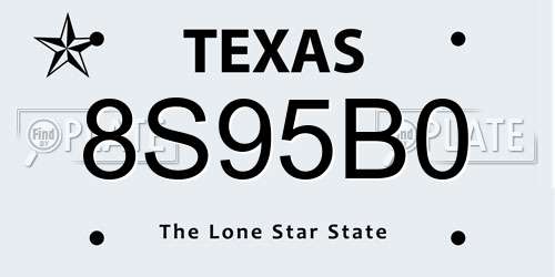 8S95B0 Texas License Plate