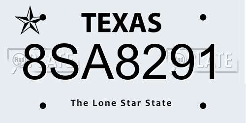 8SA8291 Texas License Plate