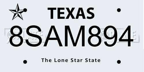 8SAM894 Texas License Plate