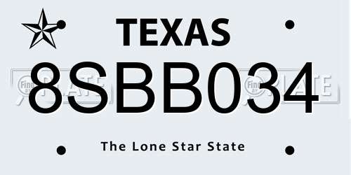 8SBB034 Texas License Plate