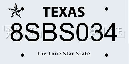 8SBS034 Texas License Plate
