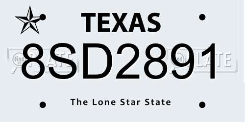 8SD2891 Texas License Plate