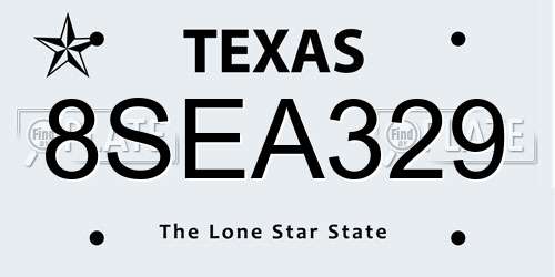8SEA329 Texas License Plate
