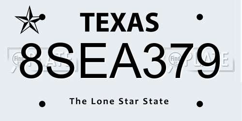 8SEA379 Texas License Plate