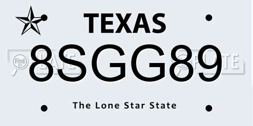 8SGG89 Texas License Plate