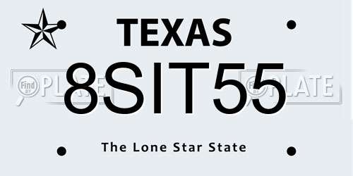 8SIT55 Texas License Plate