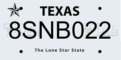 8SNB022 Texas License Plate
