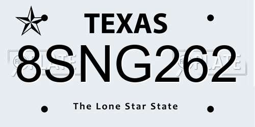 8SNG262 Texas License Plate