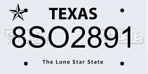 8SO2891 Texas License Plate