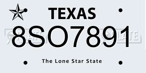 8SO7891 Texas License Plate