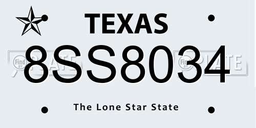 8SS8034 Texas License Plate