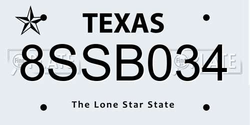 8SSB034 Texas License Plate
