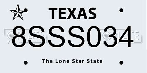 8SSS034 Texas License Plate