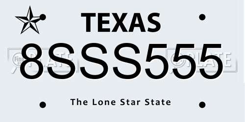 8SSS555 Texas License Plate