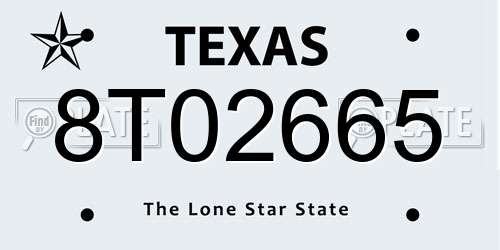 8T02665 Texas License Plate