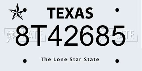 8T42685 Texas License Plate