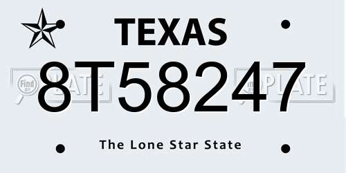 8T58247 Texas License Plate