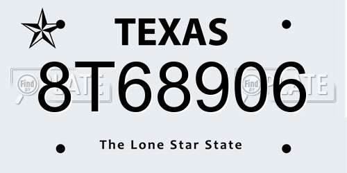 8T68906 Texas License Plate
