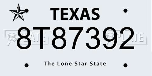 8T87392 Texas License Plate