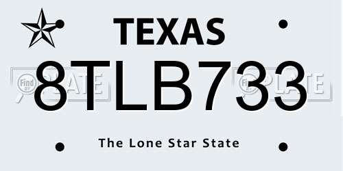 8TLB733 Texas License Plate