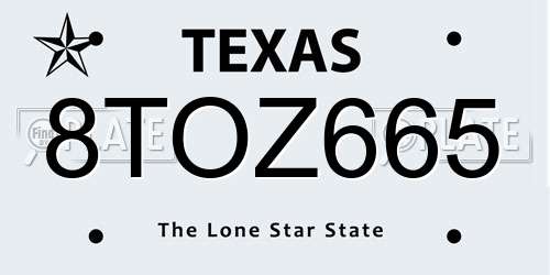 8TOZ665 Texas License Plate