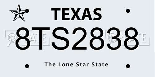 8TS2838 Texas License Plate