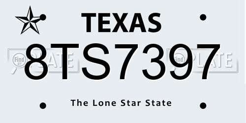 8TS7397 Texas License Plate