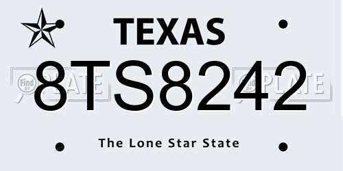 8TS8242 Texas License Plate