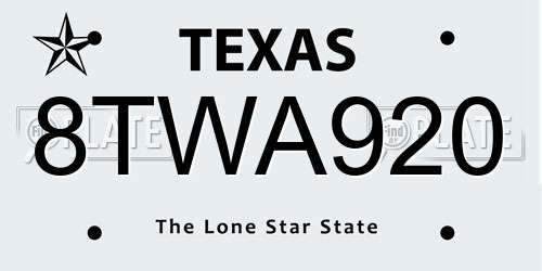 8TWA920 Texas License Plate