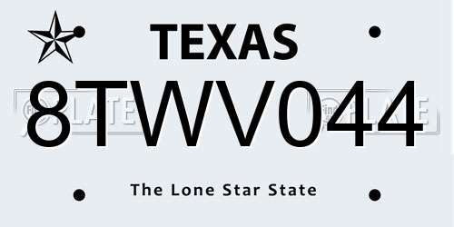 8TWV044 Texas License Plate