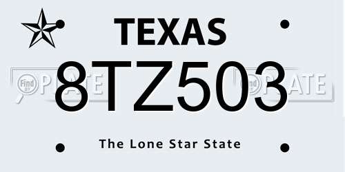 8TZ503 Texas License Plate