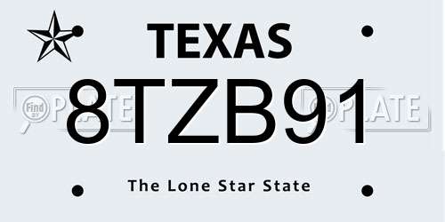 8TZB91 Texas License Plate