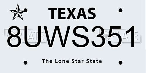 8UWS351 Texas License Plate