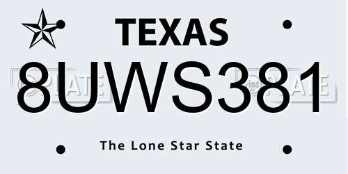 8UWS381 Texas License Plate