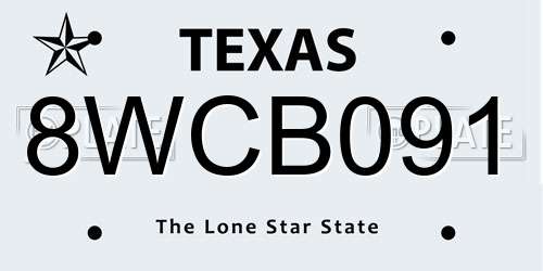 8WCB091 Texas License Plate