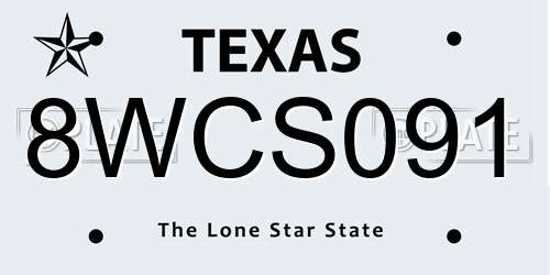 8WCS091 Texas License Plate